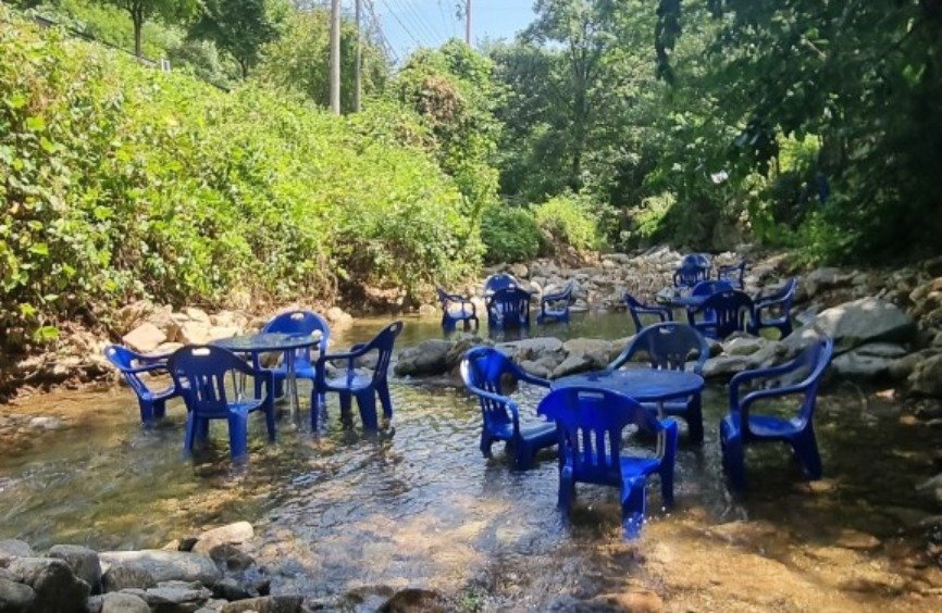 본문 이미지 - (온라인 커뮤니티)