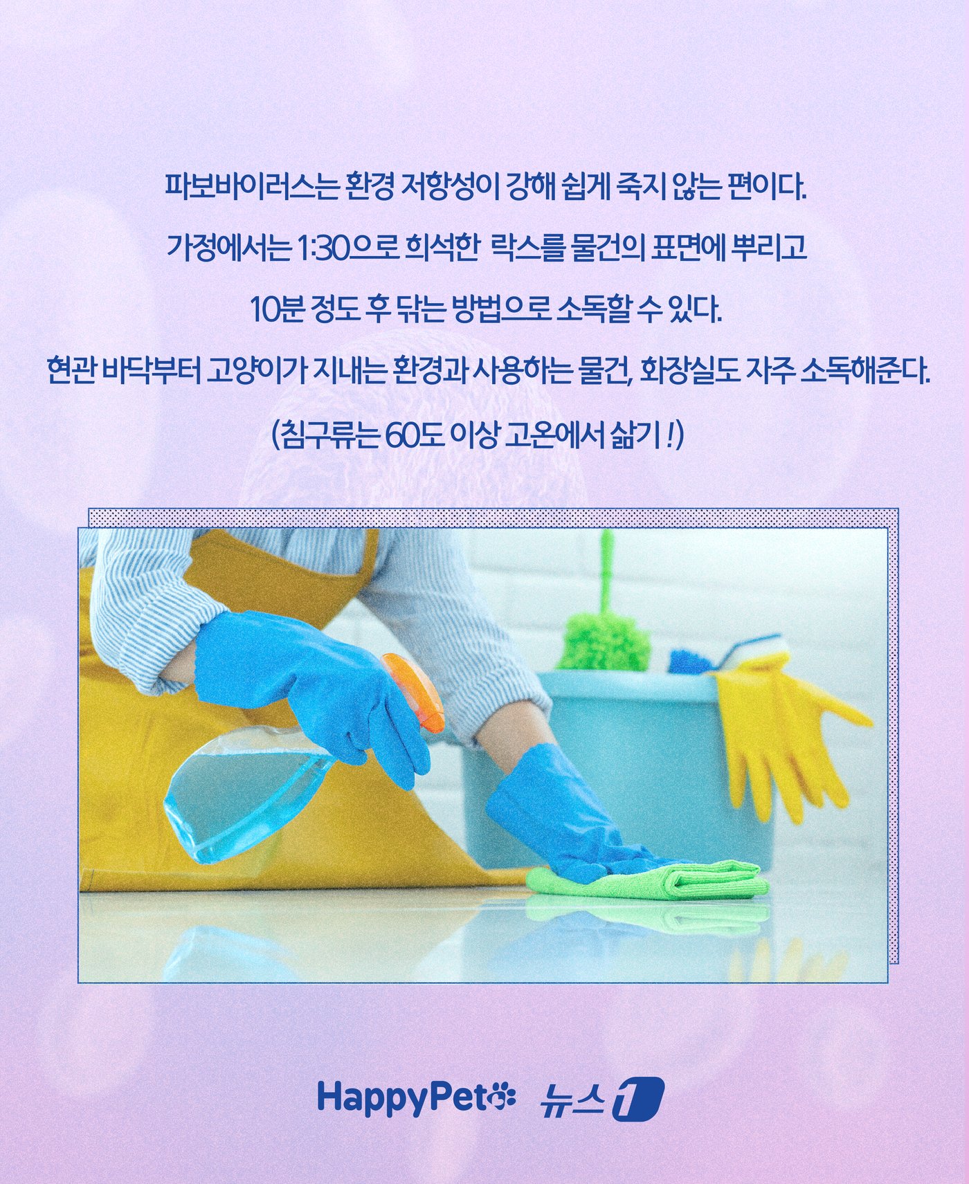 본문 이미지 - ⓒ News1 윤주희 디자이너