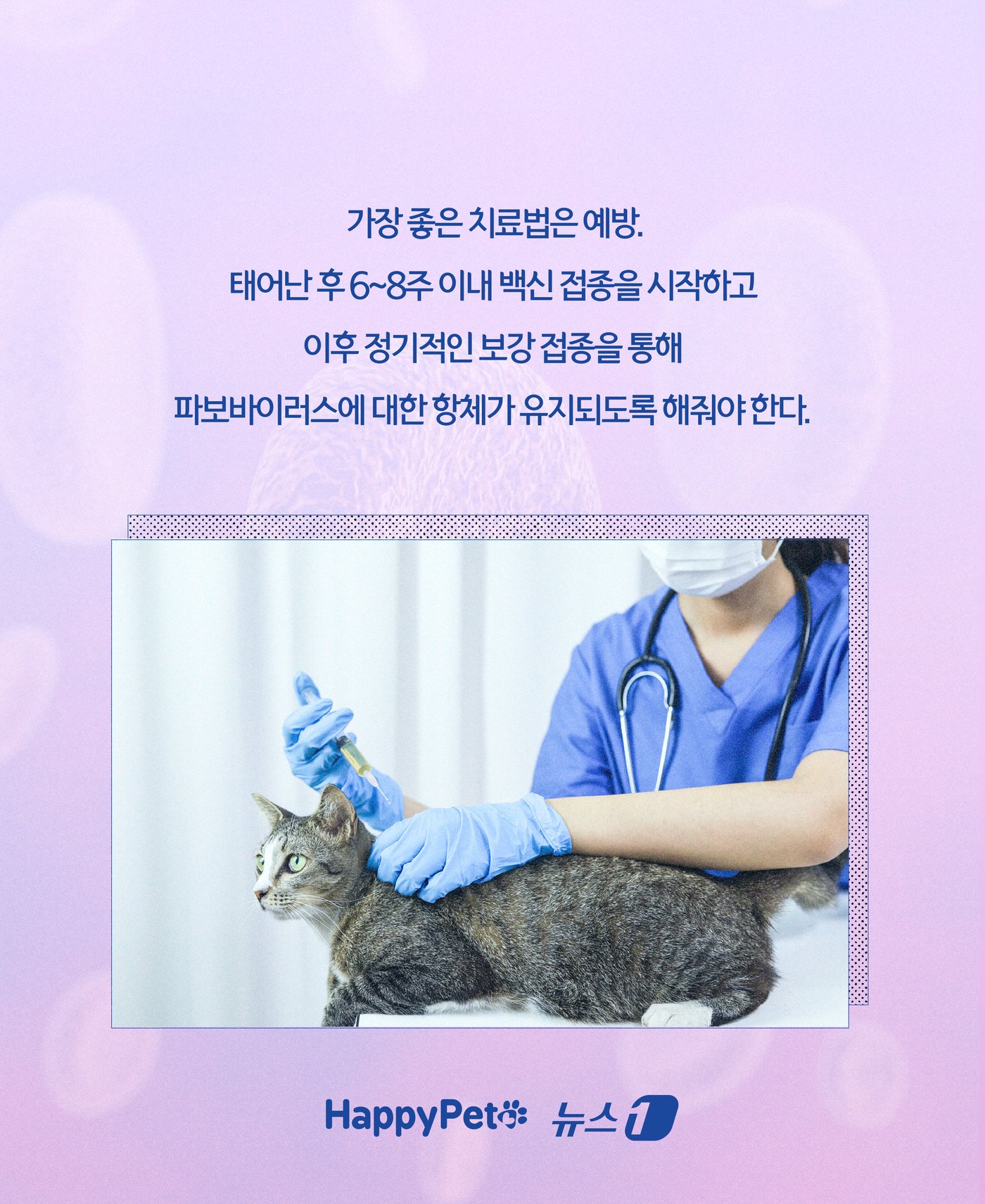 본문 이미지 - ⓒ News1 윤주희 디자이너