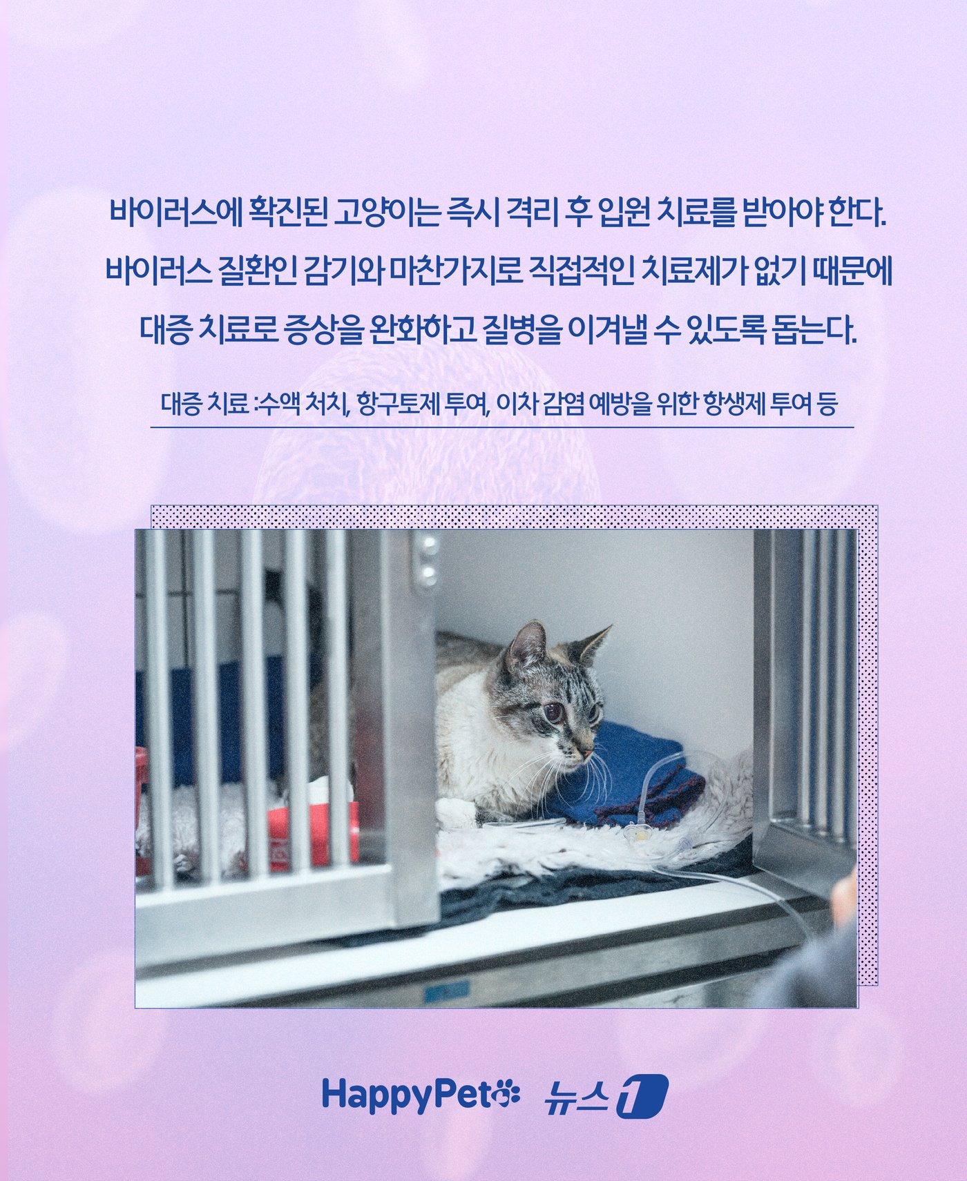 본문 이미지 - ⓒ News1 윤주희 디자이너