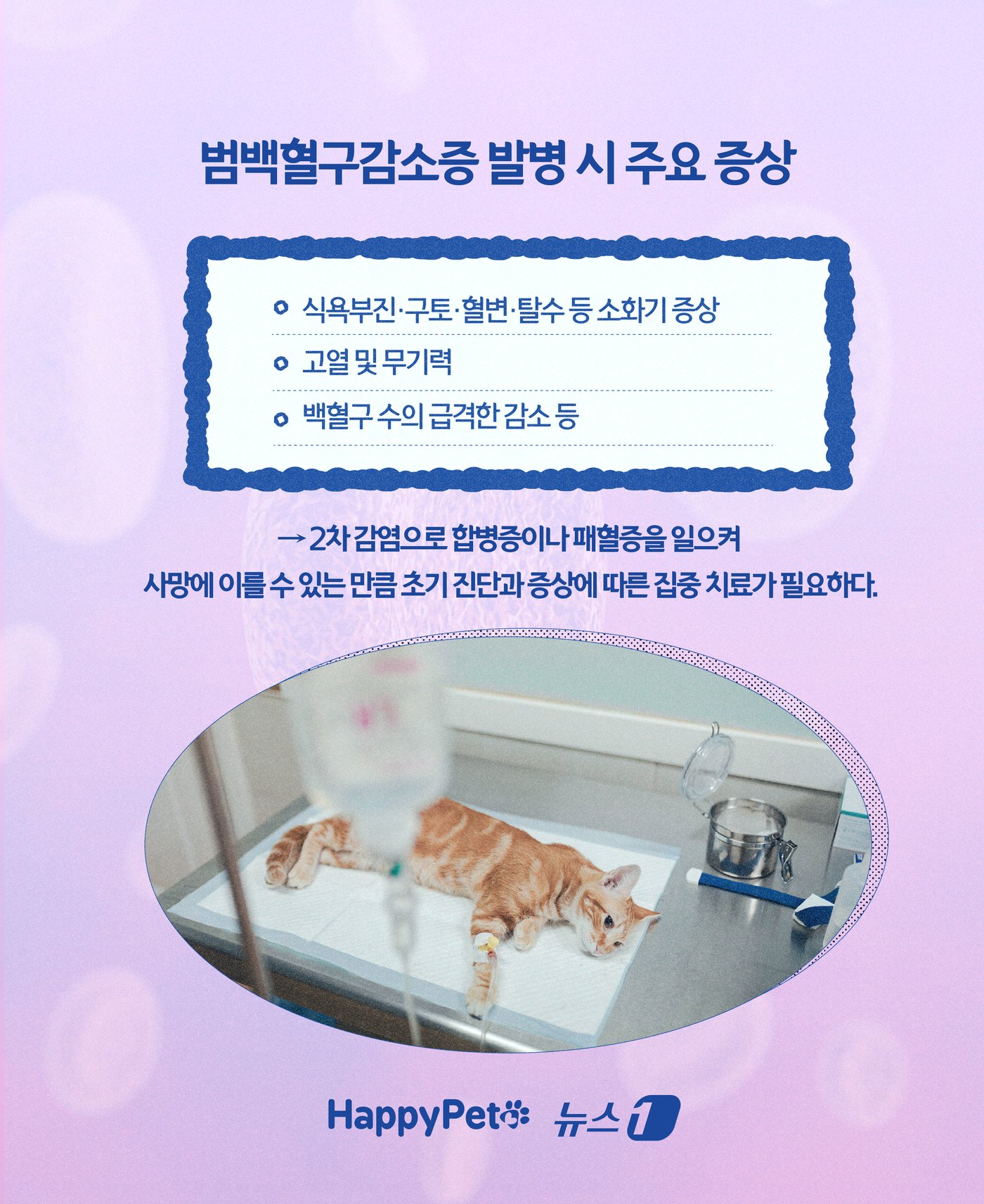 본문 이미지 - ⓒ News1 윤주희 디자이너