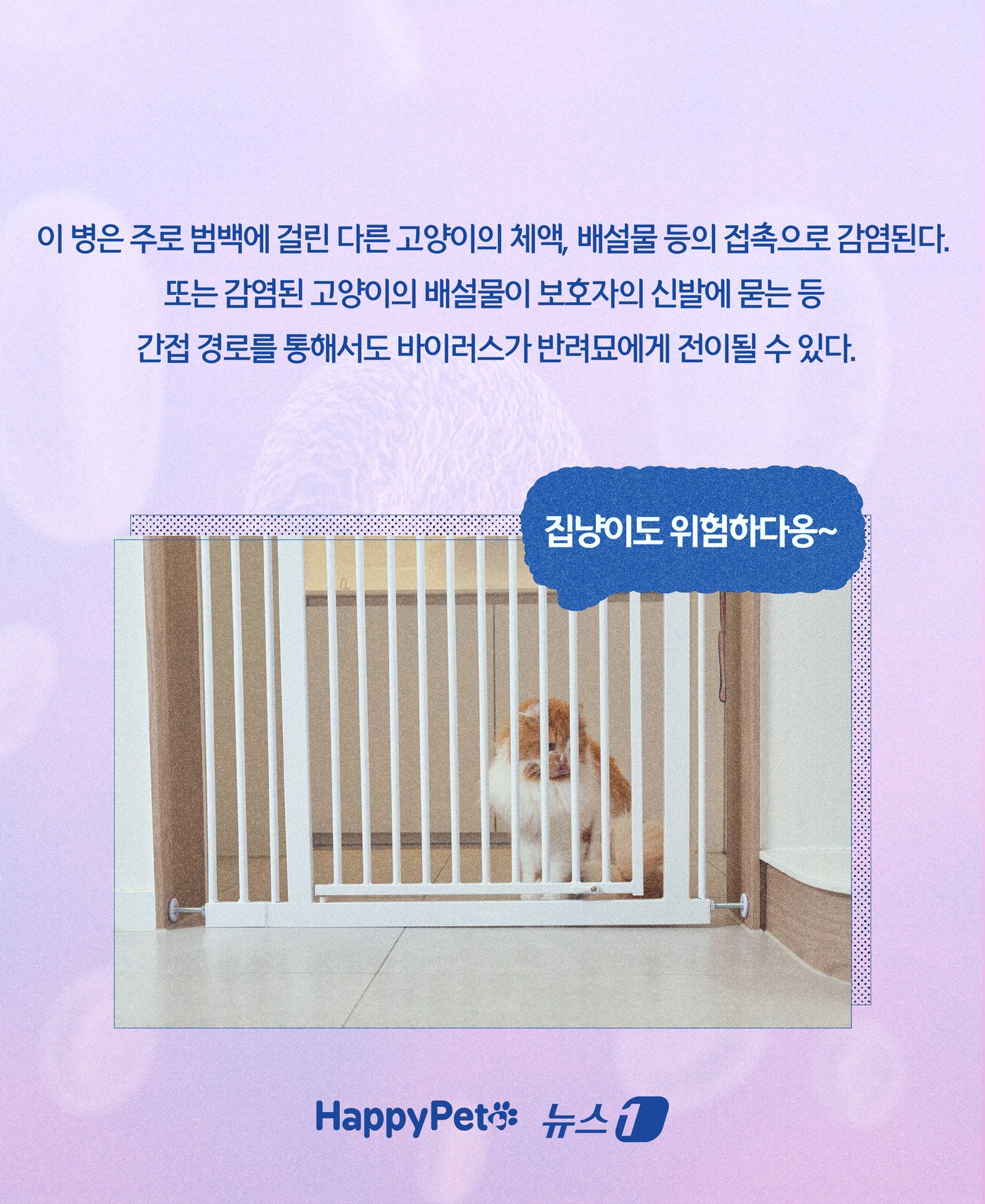 본문 이미지 - ⓒ News1 윤주희 디자이너