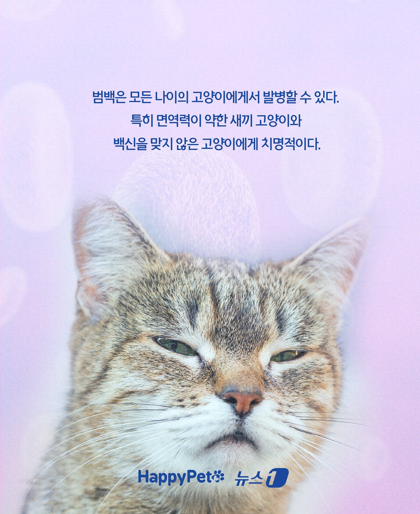 본문 이미지 - ⓒ News1 윤주희 디자이너