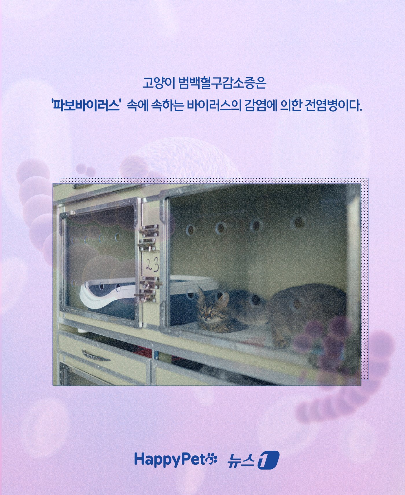 본문 이미지 - ⓒ News1 윤주희 디자이너