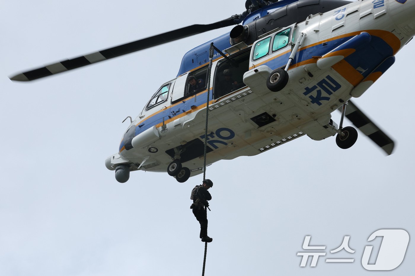 본문 이미지 - 21일 오후 서울 성북구 한국과학기술연구원에서 열린 국가중요시설 통합방호훈련에서 경찰특공대가 거수자를 제압하기 위해 헬기에서 강하하고 있다. 2024.8.21/뉴스1 ⓒ News1 신웅수 기자