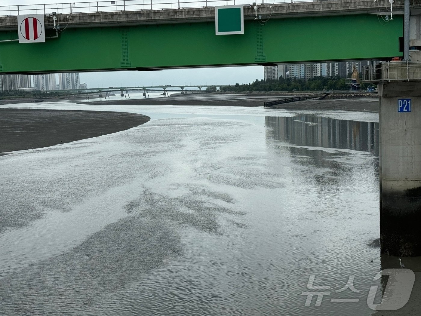 본문 이미지 - 1년 중 밀물의 수위가 가장 높은 &#39;백중사리&#39; 기간인 21일 오후 2시쯤 인천 남동구 소래대교 아래. 해양수산부는 인천의 해수면 높이가 9m67cm까지 높아질 것으로 예상했다.2024.8.21/뉴스1 ⓒ News1 박소영 기자