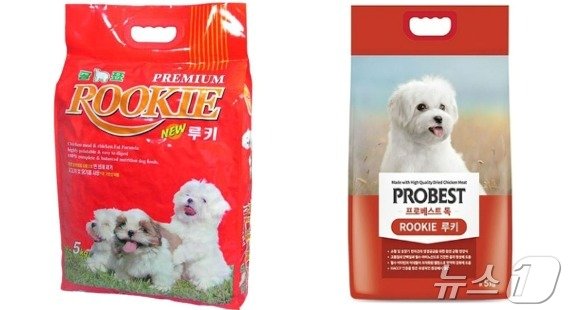 본문 이미지 - 프로베스트 변천사 ⓒ 뉴스1