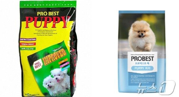 본문 이미지 - 프로베스트 변천사 ⓒ 뉴스1