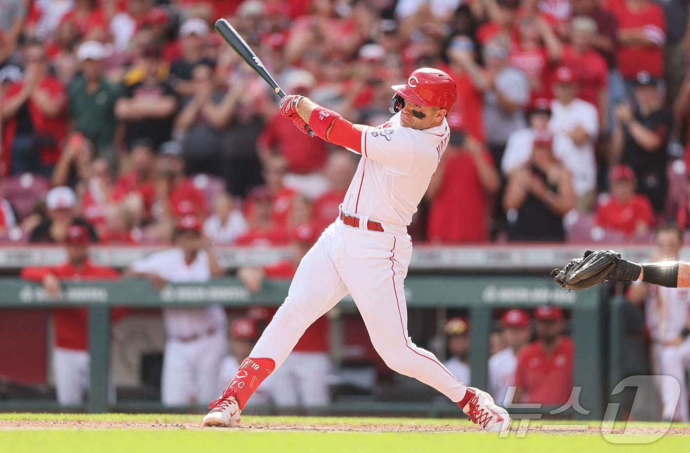 본문 이미지 - 신시내티 간판 스타였던 조이 보토가 은퇴를 선언했다. ⓒ AFP=뉴스1