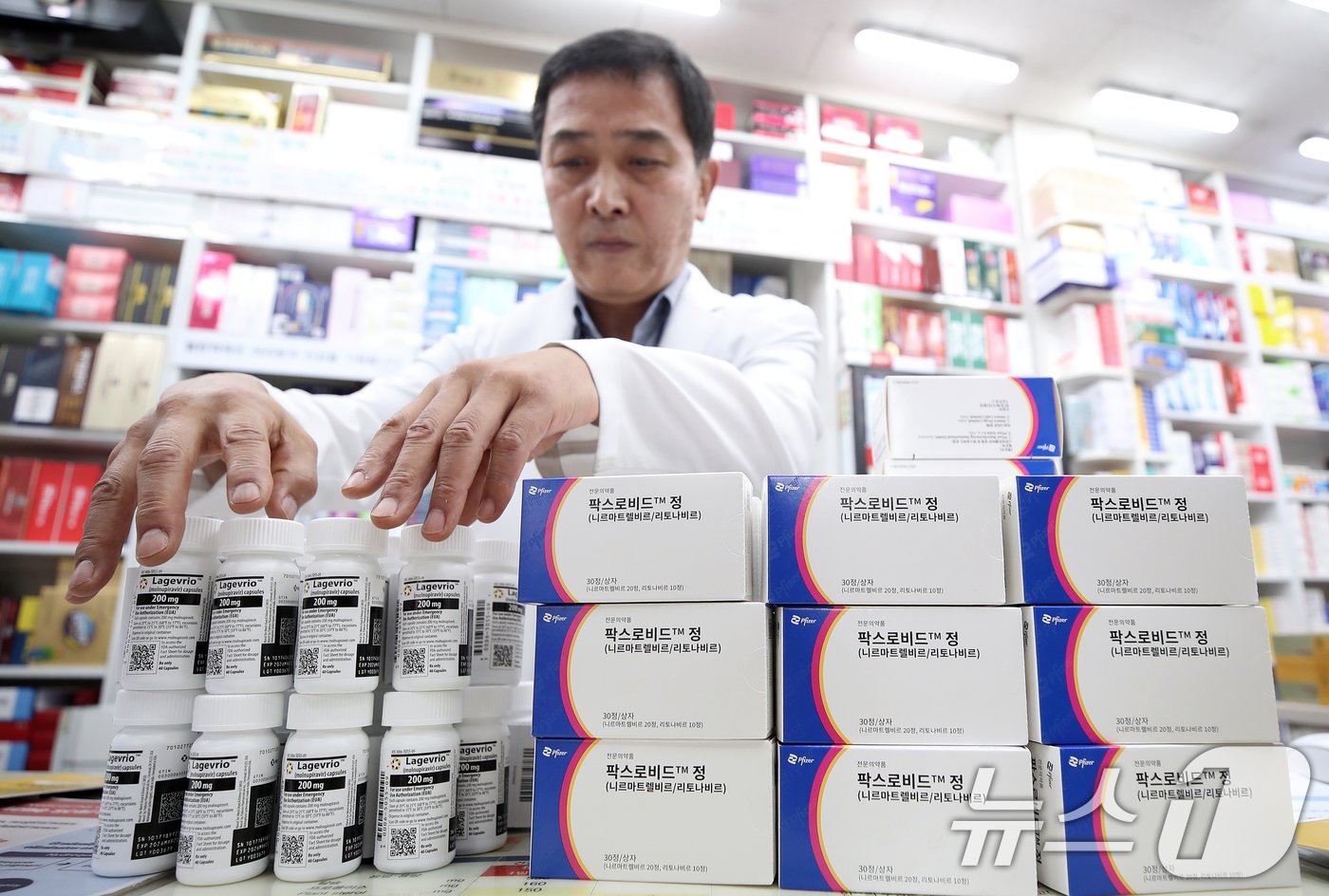 본문 이미지 - 신종 코로나바이러스 감염증(코로나19) 환자가 증가하고 있는 가운데 22일 서울 종로구의 한 약국에 코로나19 치료제 팍스로비드와 라게브리오가 공급되고 있다.  2024.8.22/뉴스1 ⓒ News1 오대일 기자