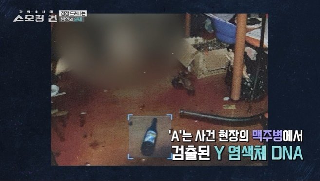 본문 이미지 - (KBS 2TV '스모킹 건' 갈무리)