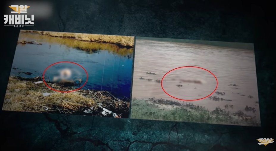 본문 이미지 - sbs '그것이 알고싶다' 갈무리