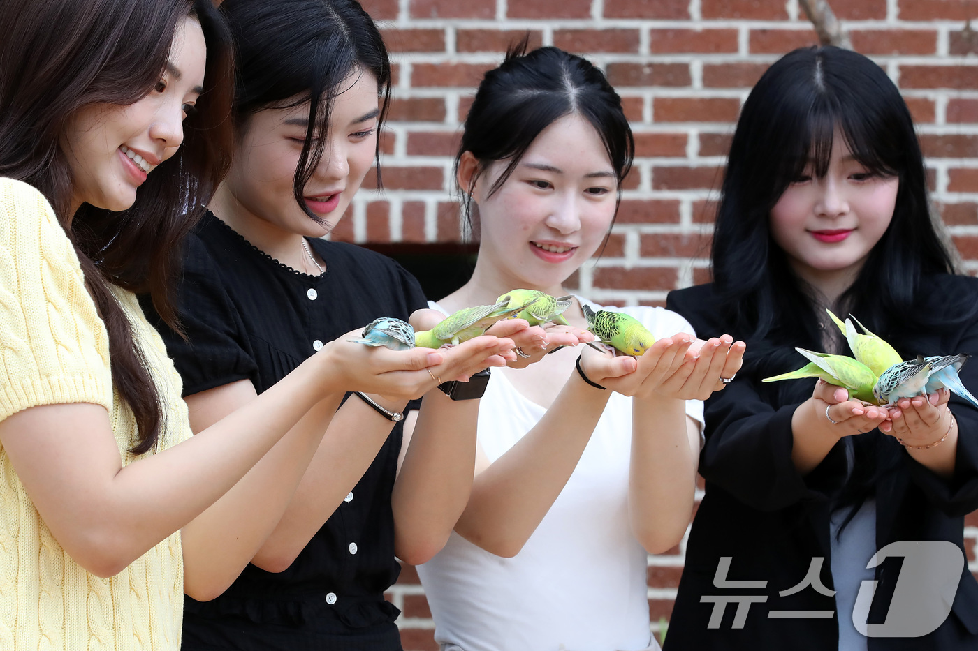 이월드에서 사랑새와 함께 - 뉴스1