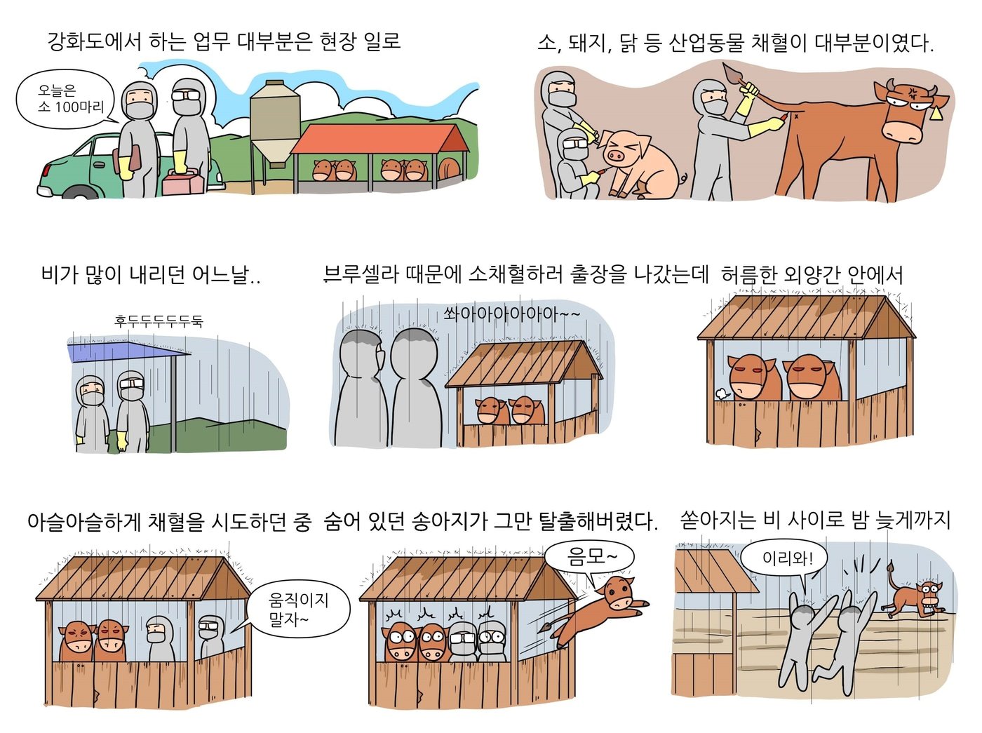 베토리&#40;정철 수의사 제공&#41; ⓒ 뉴스1