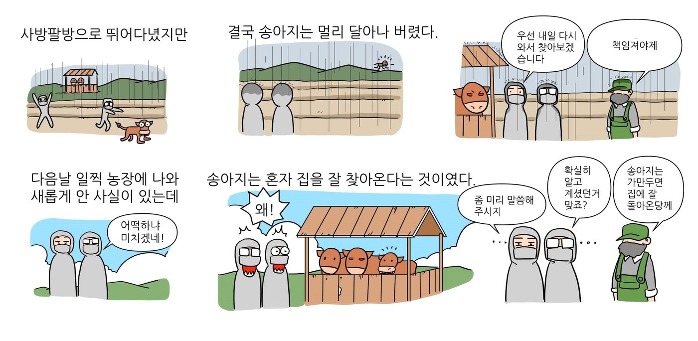 베토리&#40;정철 수의사 제공&#41; ⓒ 뉴스1