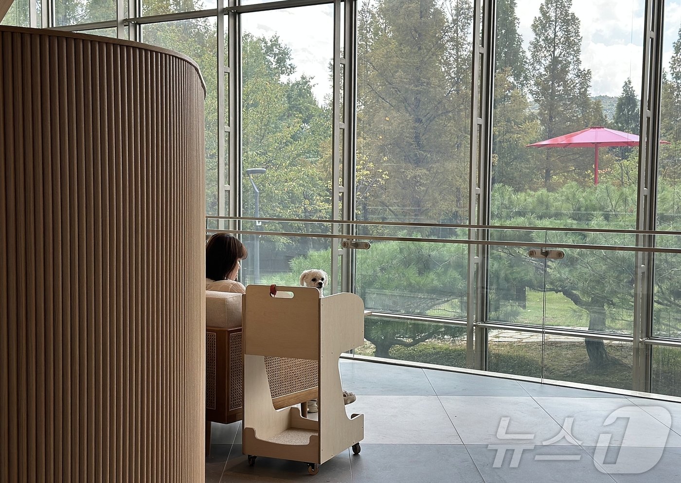 본문 이미지 -  로비에서 견주와 휴식을 보내고 있는 반려견. ⓒ News1 윤슬빈 기자