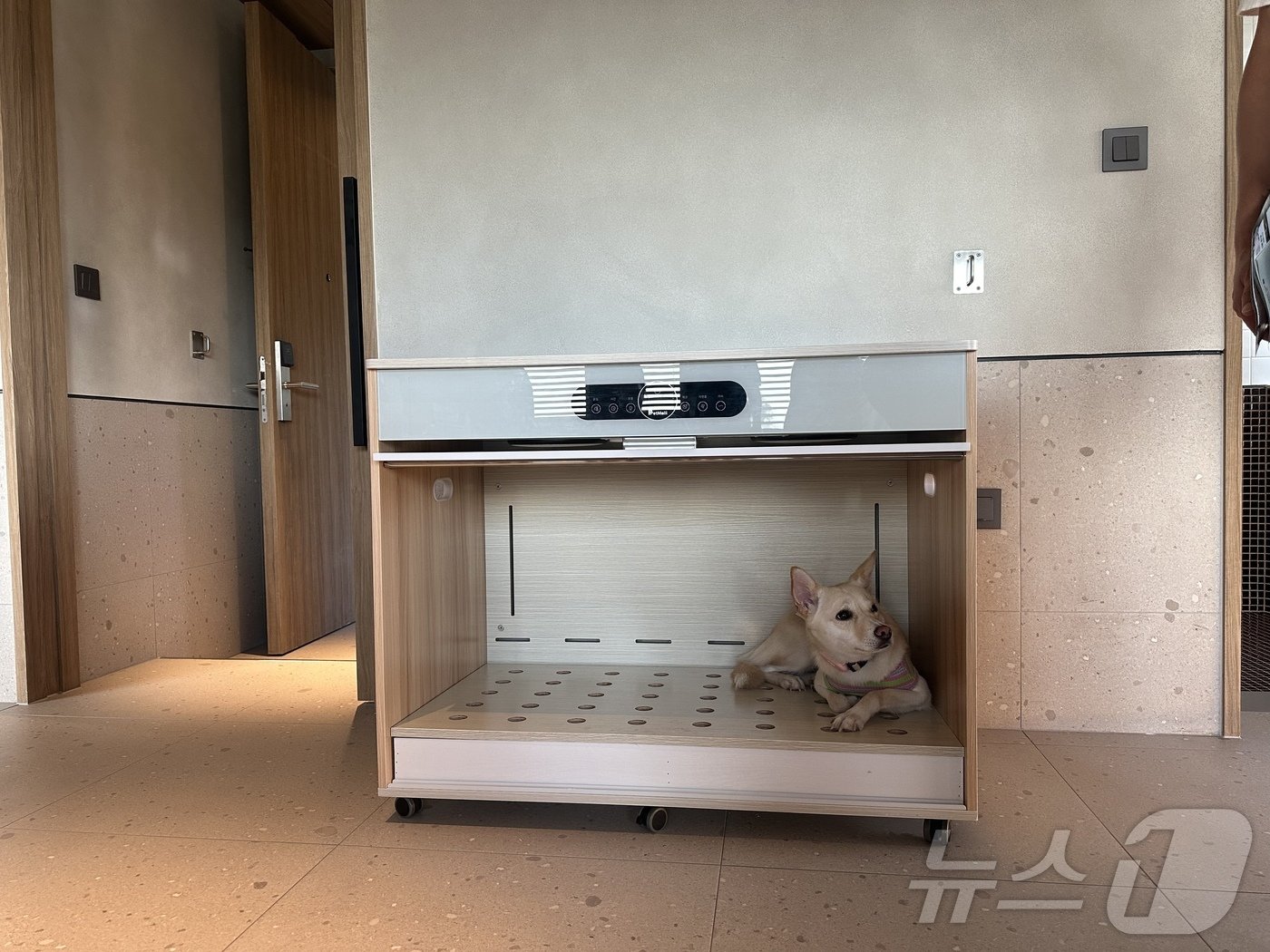 본문 이미지 - 스위트 객실에 비치한 반려견 드라이룸ⓒ News1 윤슬빈 기자