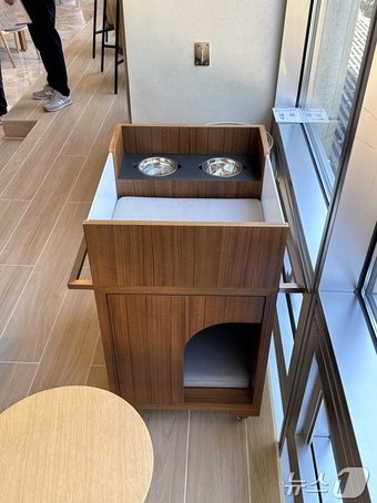 본문 이미지 - 이동식 반려동물 전용 의자. ⓒ News1 윤슬빈 기자