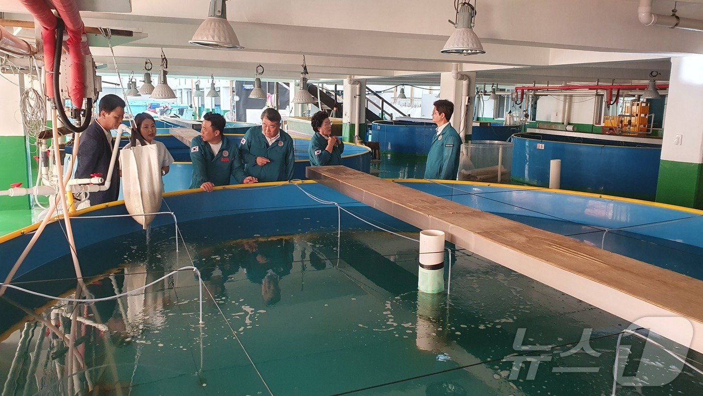 본문 이미지 - 통영시해양발전방안연구회가 문어 양식화 사업을 위한 시설을 살피고 있다.(통영시의회 제공)
