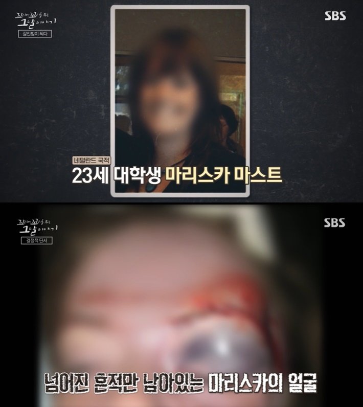 본문 이미지 - (SBS '꼬리에 꼬리를 무는 그날 이야기' 갈무리)