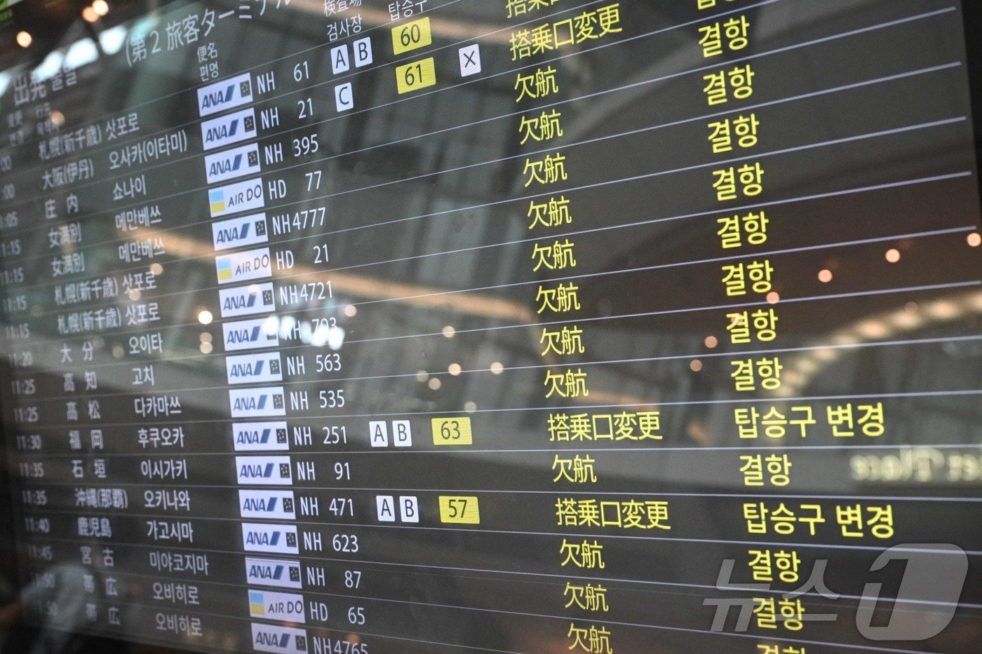 본문 이미지 - 태풍 영향으로 국내·국제선 노선이 다수 결항됐다.ⓒ AFP=뉴스1