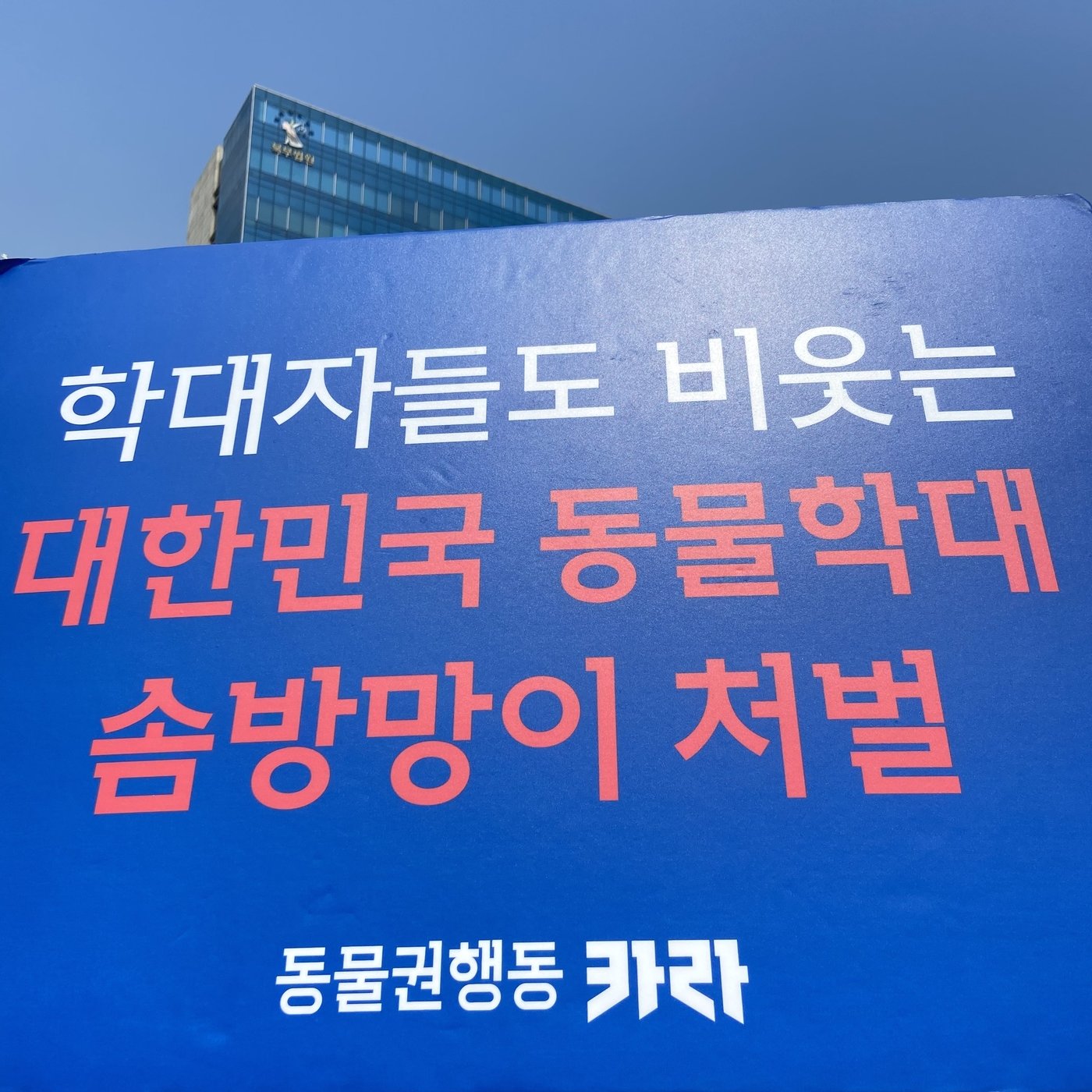 27일 동물권행동 카라는 &#34;반려동물을 고층에서 던지는 잔인한 범죄에 집행유예 선고는 솜방망이 처벌&#34;이라고 비판했다. &#40;카라 제공&#41; ⓒ 뉴스1