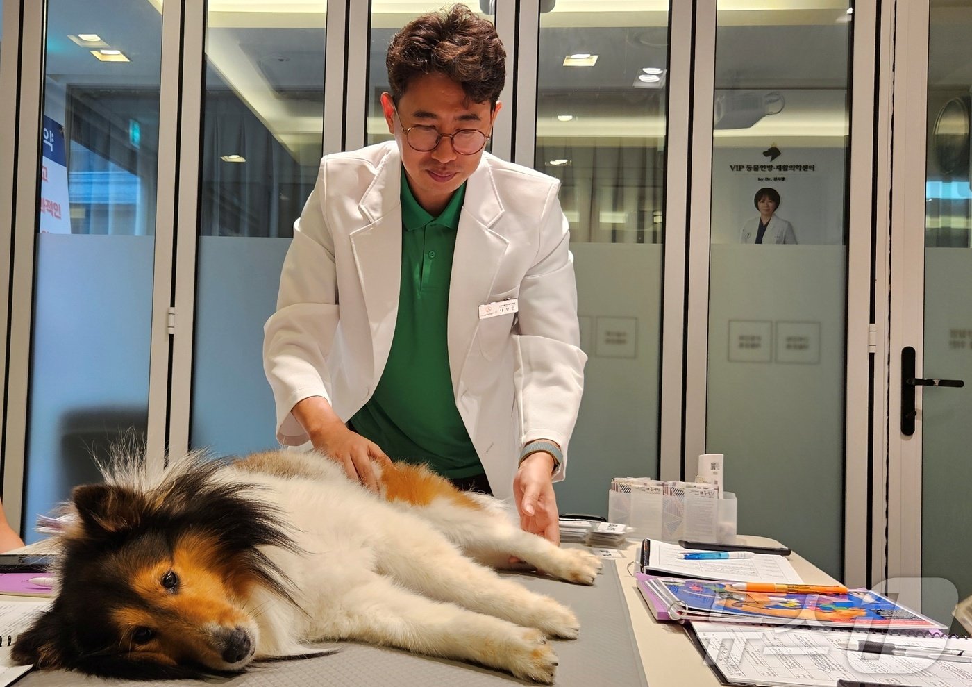 본문 이미지 - 나상민 수의사가 25일 서울 강남구 VIP동물한방재활의학센터 바이 닥터 신사경에서 침치료인증수의사 자격증 과정 실습 교육을 하고 있다. ⓒ 뉴스1 최서윤 기자
