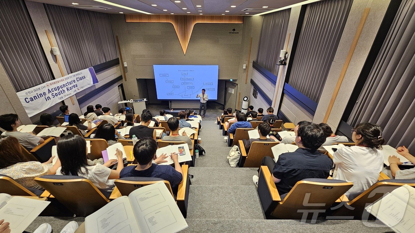 본문 이미지 - 김민수 서울대 교수는 26일 서울 강남구 VIP동물의료센터 청담점 브이아카데미에서 침치료인증수의사 자격증 취득을 위한 교육을 하고 있다. ⓒ 뉴스1 최서윤 기자