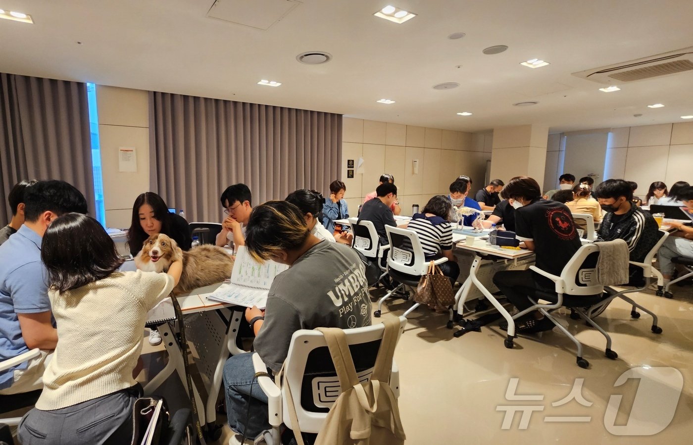 본문 이미지 - 27일 서울 강남구 놀로스퀘어에서 침치료인증수의사 자격증 취득을 위한 실습 교육이 진행되고 있다. ⓒ 뉴스1 최서윤 기자