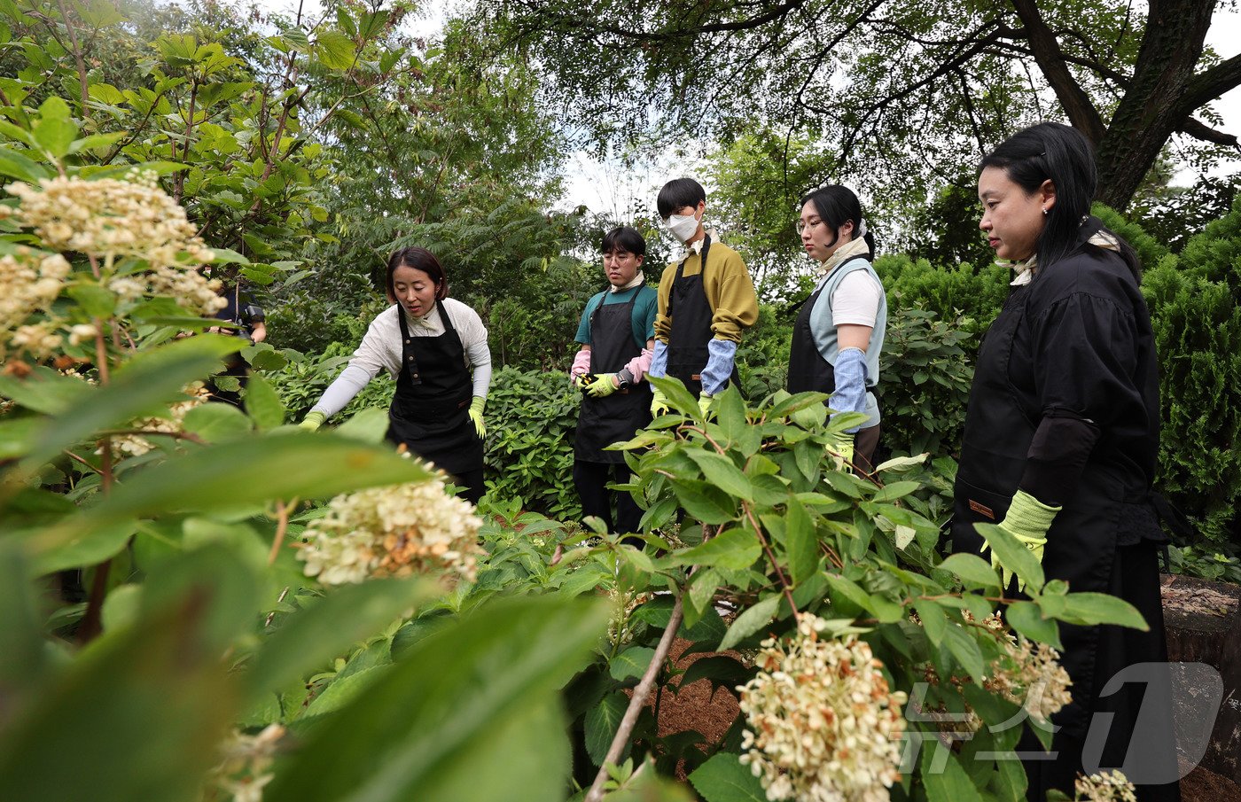 본문 이미지 - 27일 오후 서울 노원구 불암산 산림치유센터에서 열린 정원처방 프로그램 프레스투어에서 참가자들이 시범 운영 예정인 서울형 정원처방 체험을 하고 있다. 2024.8.28/뉴스1 ⓒ News1 박지혜 기자