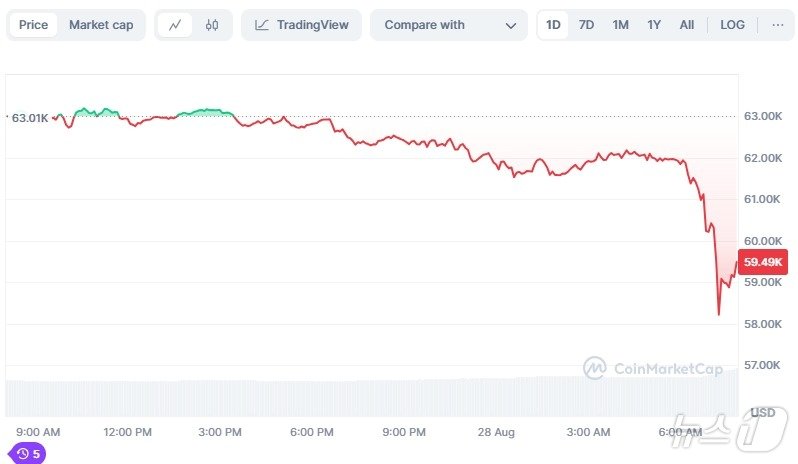 비트코인 일일 가격추이. 5만8000달러대까지 떨어졌던 비트코인이 5만9000달러로 반등하고 있다. - 코인마켓캡 갈무리