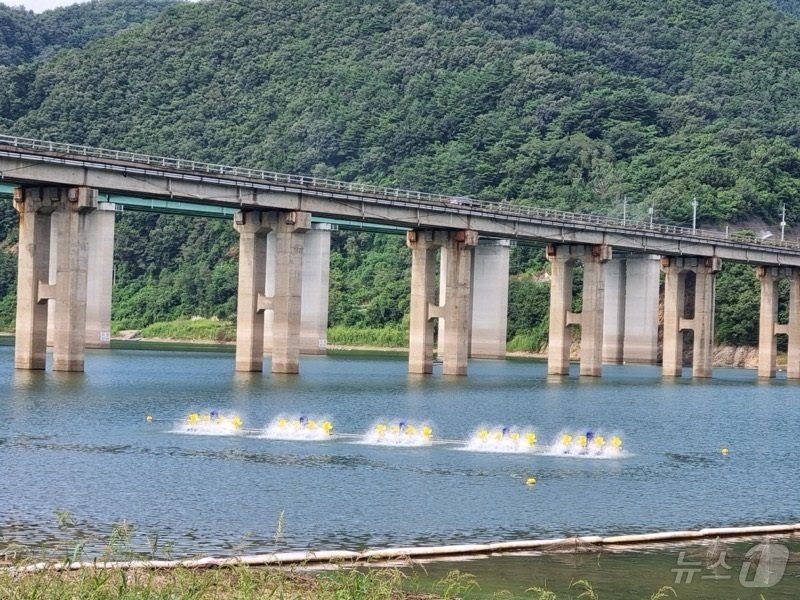 본문 이미지 - 소양호 상류에 녹조현상이 발생해 녹조 저감 장비인 수면포기기가 가동되고 있다.(한국수자원공사 한강유역본부 제공)/뉴스1
