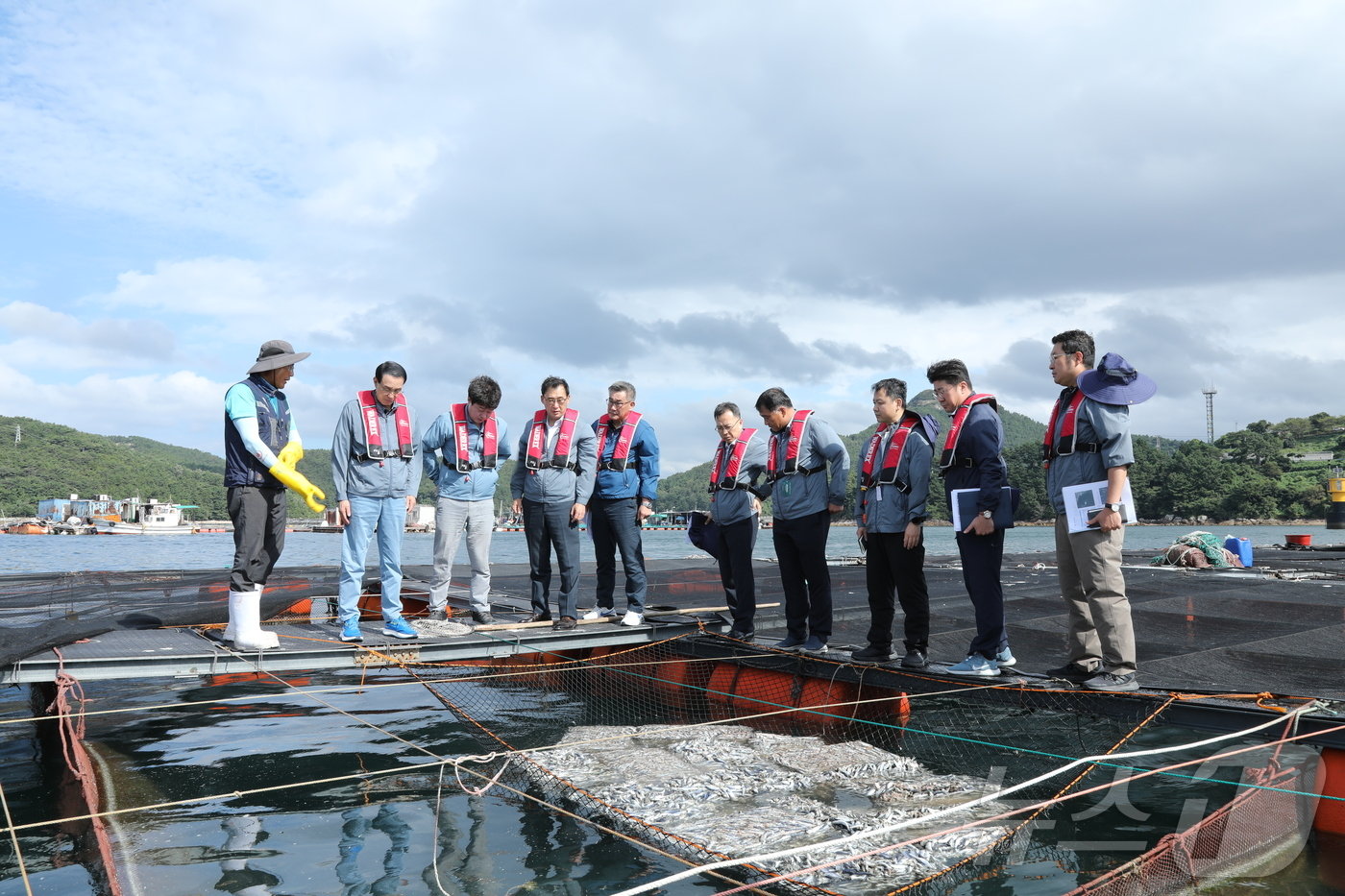 본문 이미지 - (수협중앙회 제공)