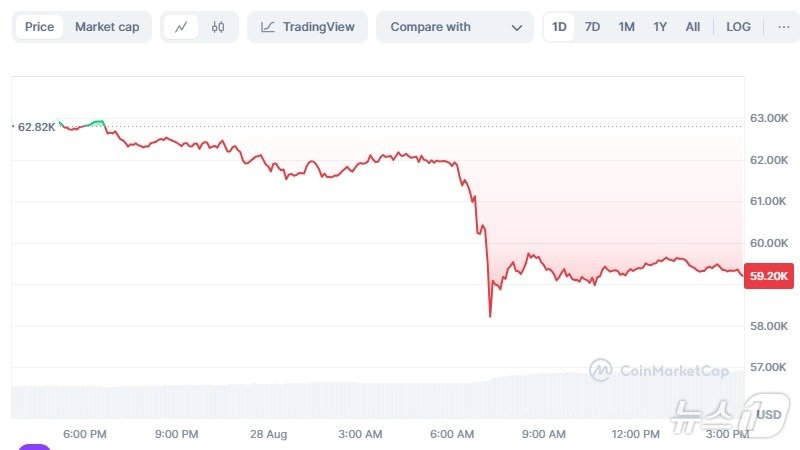 본문 이미지 - 비트코인 가격 일일 추이 - 코인마켓캡 갈무리