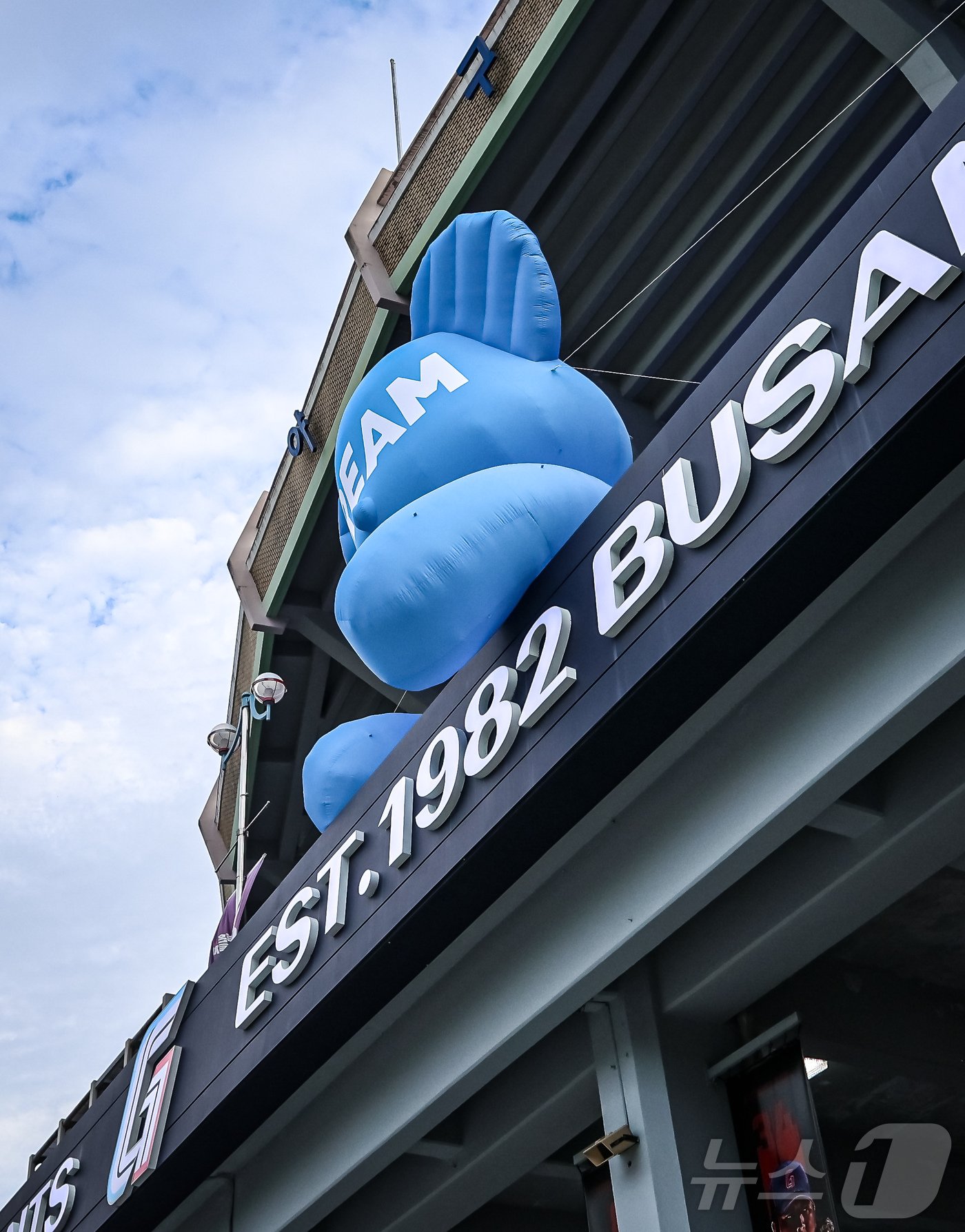 본문 이미지 - 롯데 자이언츠가 사직구장 내외에 대형 베어벌룬을 설치한다 (롯데 자이언츠 제공)