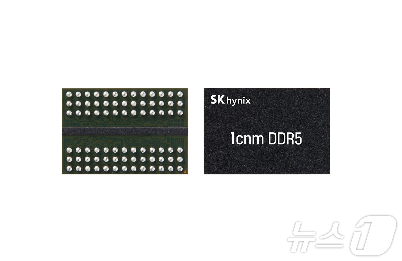 본문 이미지 - 세계 최초로 10나노급 6세대(1c) 미세공정을 적용한 SK하이닉스의 16Gb DDR5 D램.(SK하이닉스 제공) ⓒ News1