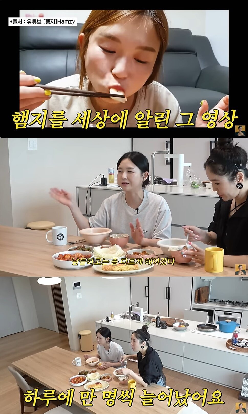 본문 이미지 - (유튜브 채널 'A급 장영란' 갈무리)