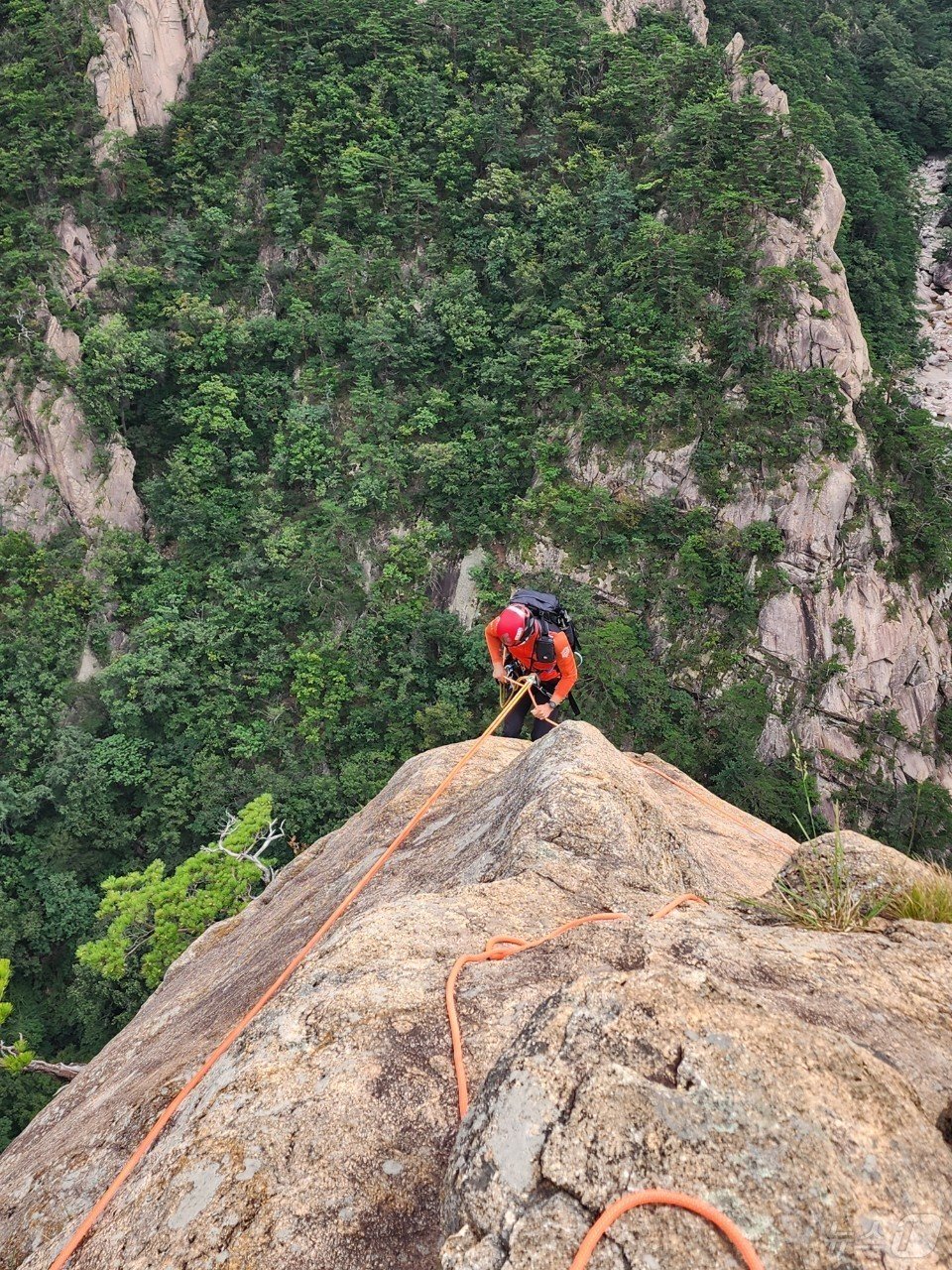 본문 이미지 - 지난 28일 강원 속초시 설악산 적벽에 고립된 등산객 2명을 구조하는 환동해특수대응단 산악구조대.(환동해특수대응단 제공) 2024.8.29/뉴스1