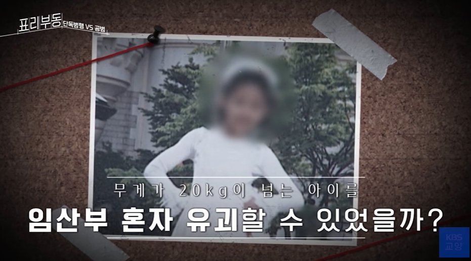 본문 이미지 - (KBS교양 갈무리)