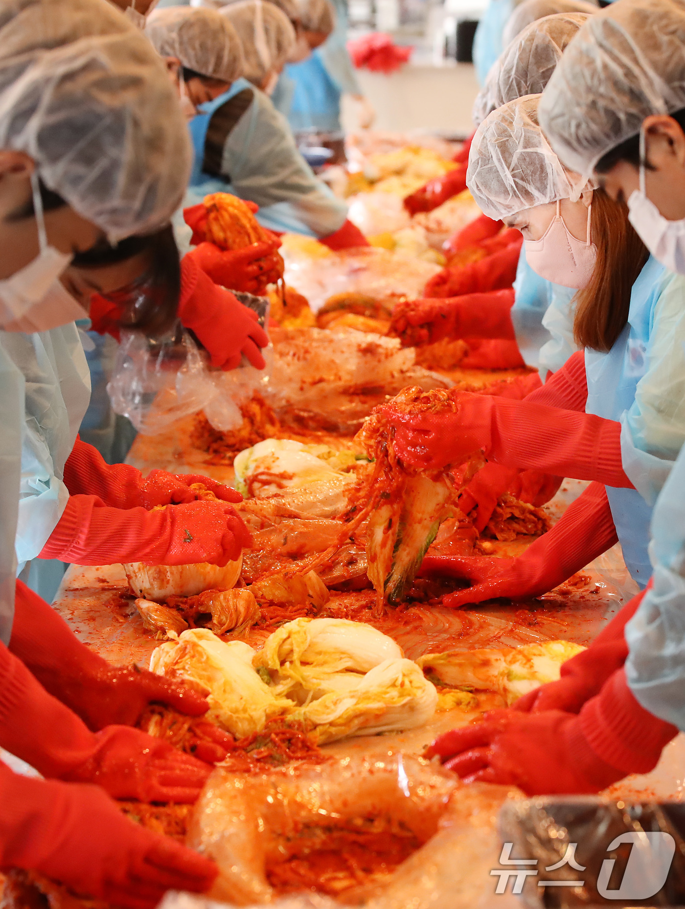 (경산=뉴스1) 공정식 기자 = 29일 오후 영남대 경산캠퍼스 학생회관에서 열린 '2024학년도 제6회 사랑의 김치 나눔' 행사에 참여한 재학생과 외국인 유학생, 교직원이 배추에 …