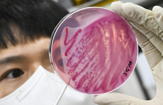 충주시, 식중독 늑장 신고한 기업에 과태료 500만원 부과