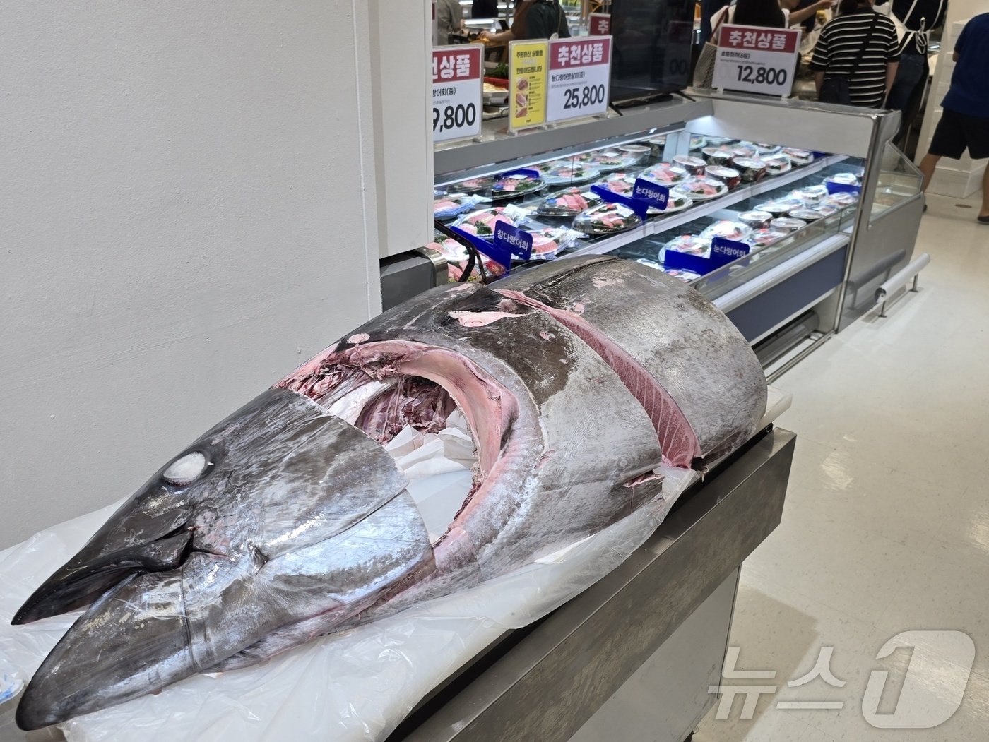 본문 이미지 - 스타필드 마켓 이마트 수산코너의 참다랑어 ⓒ News1