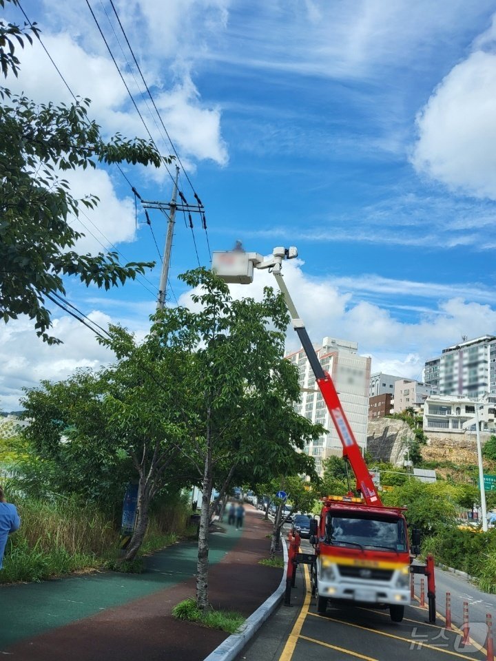 강풍주의보가 발효중인 29일 오전 울산 중구 일대에 신호등이 고장나 소방당국과 한전에서 현장조치를 하고 있다.&#40;울산경찰청제공&#41;