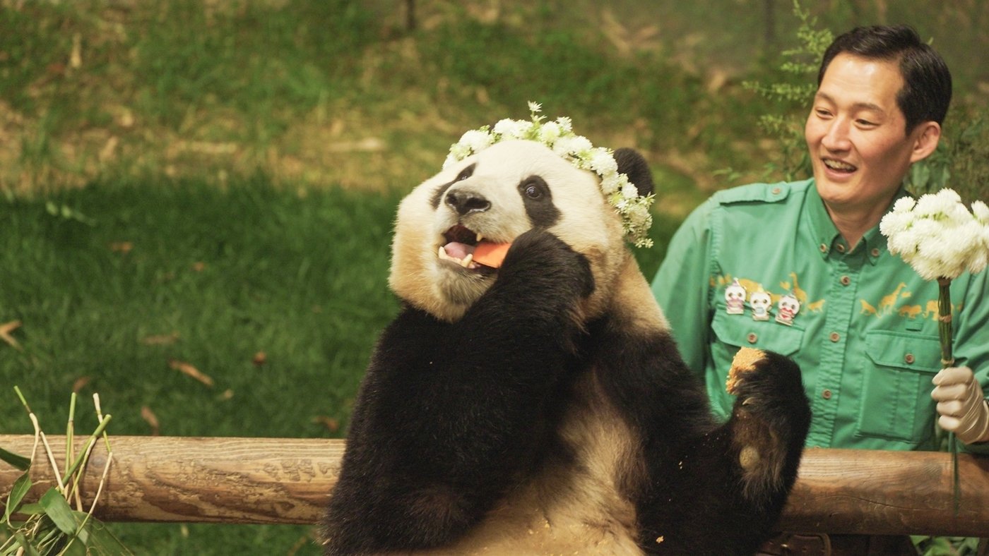 본문 이미지 - 안녕 할부지 스틸