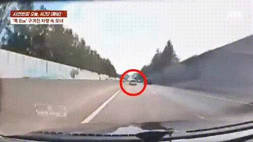 본문 이미지 - (JTBC '사건반장' 갈무리)