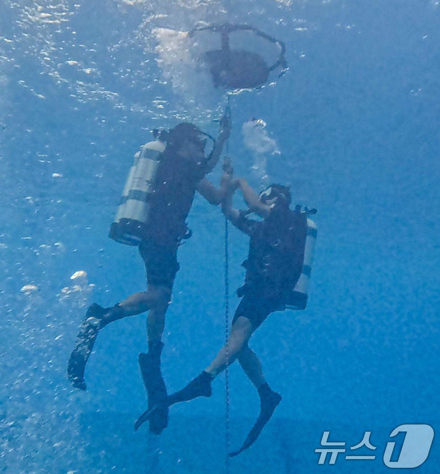 해군은 30일 대한민국 해군 최초의 여군 심해잠수사&#40;SSU&#41;가 탄생했다고 밝혔다. 해난구조 기본과정을 수료하고 여군 최초로 심해잠수사&#40;SSU&#41;가 된 문희우 대위&#40;진&#41;이 훈련기간 중 구조잠수훈련장에서 규정 상승, 하강속력을 준수해 잠수병을 예방하기 위한 상하잠수 훈련을 하고 있다. &#40;해군 제공&#41; 2024.8.30/뉴스1