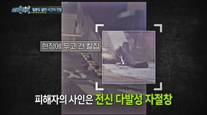 본문 이미지 - (MBC '실화탐사대' 갈무리)