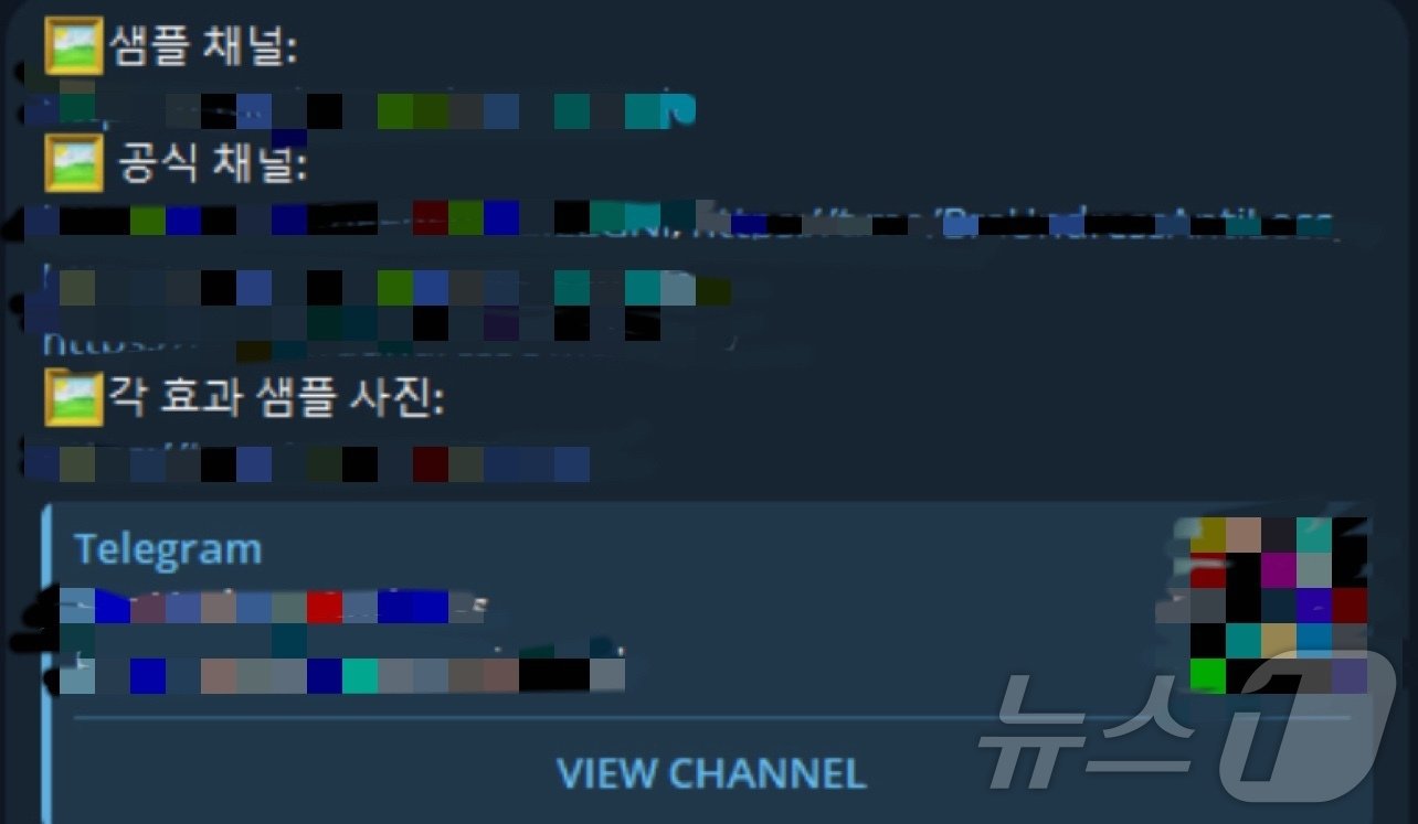 본문 이미지 - 딥페이크 성착취 텔레그램 채널. 2024.08.30/뉴스1(텔레그램 갈무리)