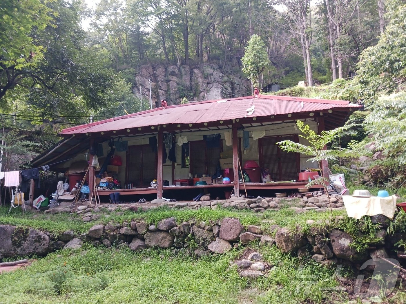 본문 이미지 - 의신마을에서 세석대피소 방향으로 한 시간 정도 가면  산 속 대성마을이 있다.  2023년 봄 산불에 다른 집들은 모두 타 이주했고 한 집만 남았다. 바람이 집 반대 방향으로 불어서 다행히 온전했다는 어르신은 집 뒤 밭에서 제초기로 풀을 베고 있었다.