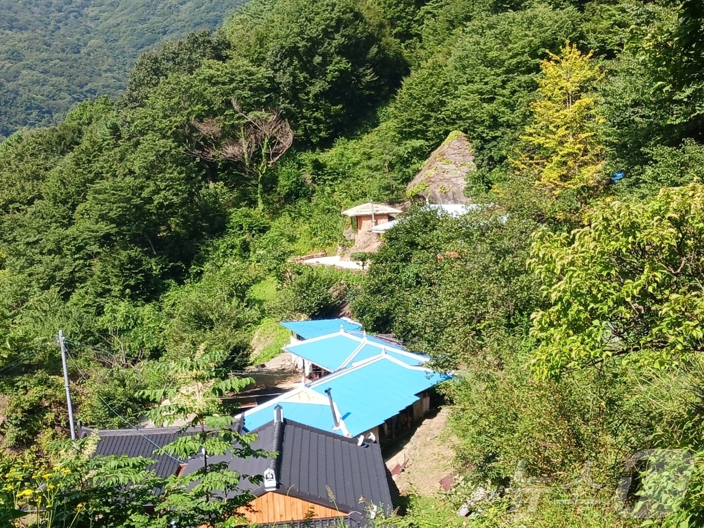 의신마을에서 2.7㎞를 올라오면 산 중턱에 아담하게 자리잡은 삼정마을.  집들이 띄엄띄엄 10가구가 안 된 듯 보였다. 도로 포장이 잘 돼  자동차로도 올 수 있다. 여기서 계속 오르면 코재, 벽소령 대피소, 오른쪽으로 900m쯤 가면 설산습지가 나온다.